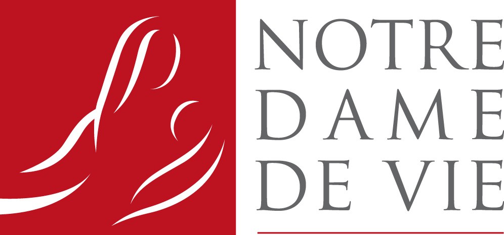 logo NDV