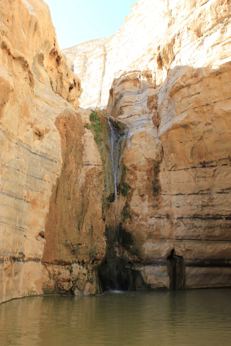 Pèlerinage en Terre Sainte 2026